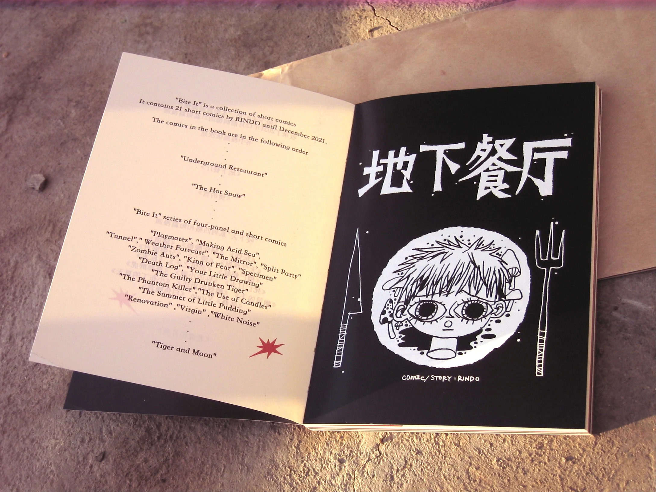 Printed / Physical Media — artwork